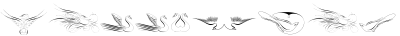 Calligraphic Birds Family